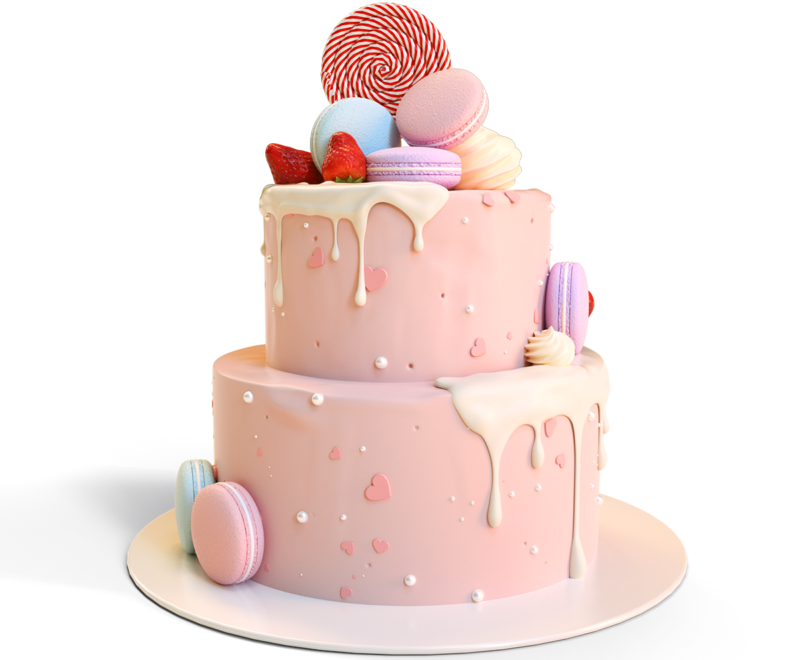 OGATEAU OGATEAU; Gâteau d'anniversaire; Gâteau au chocolat;